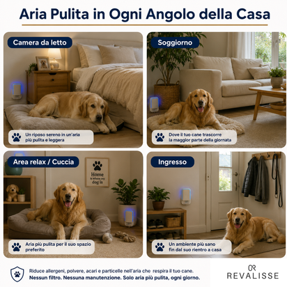 Revalisse™ - Purificatore ionico contro muffa e acari per proteggere il tuo amico a 4 zampe