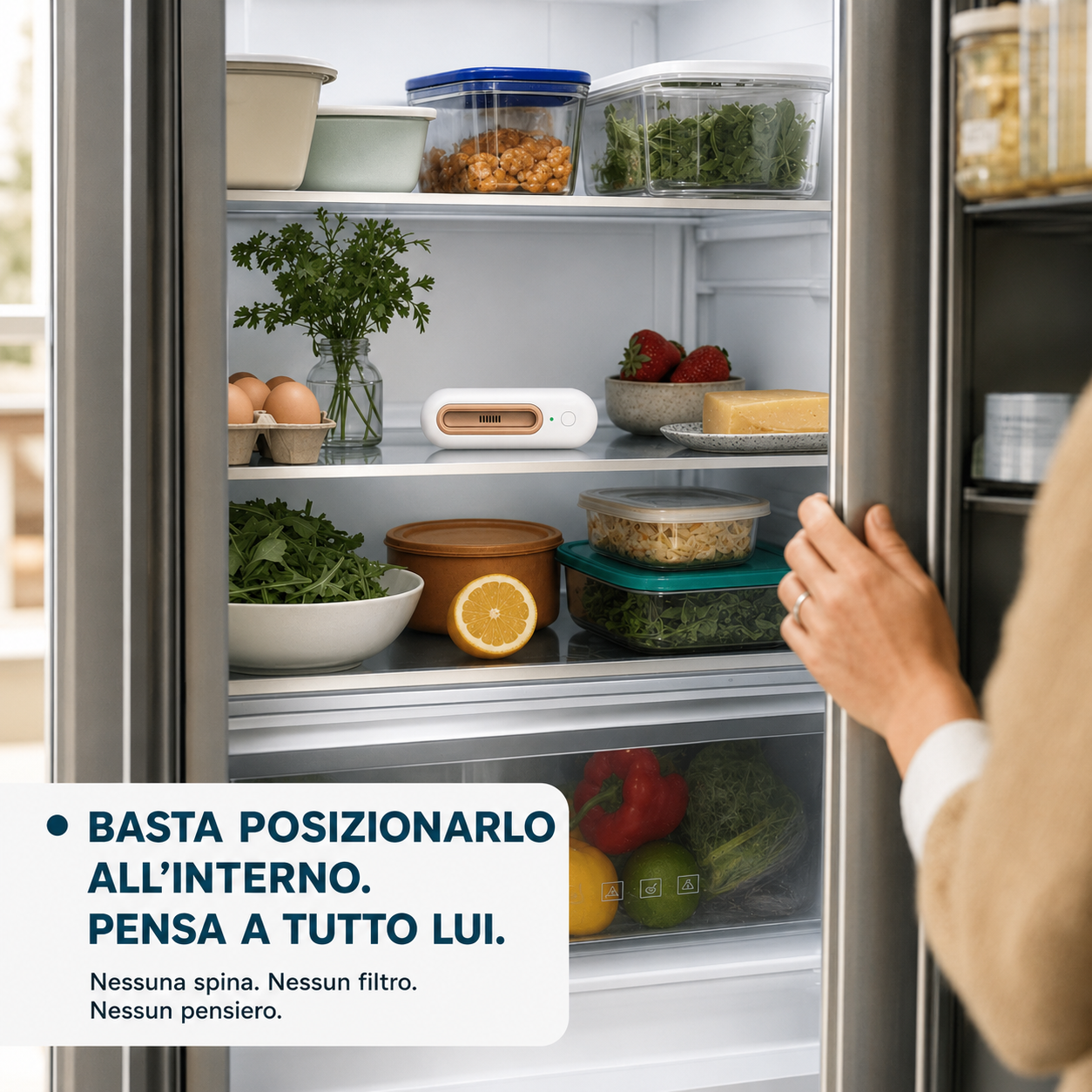 Revalisse™ - Purificatore d'aria che salva la tua spesa.